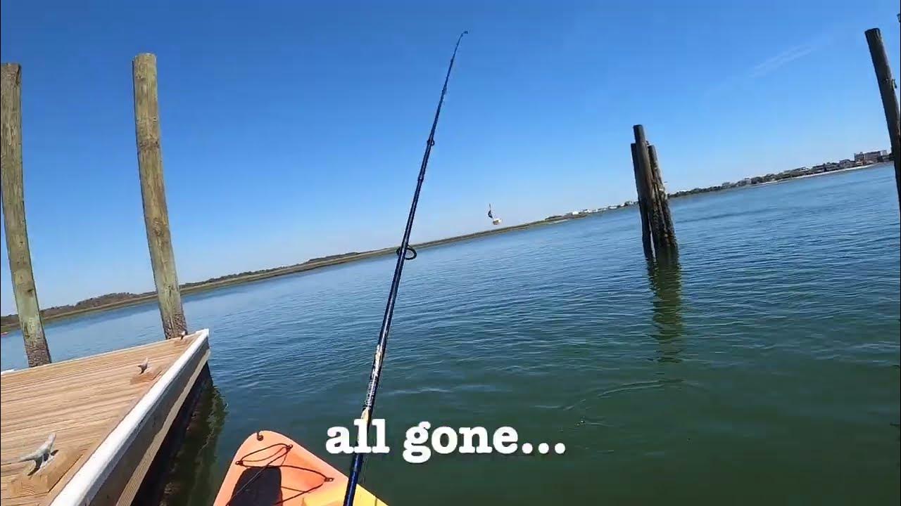 Snapper Bluefish in North Carolina [Fishing the Intracoastal Waterway