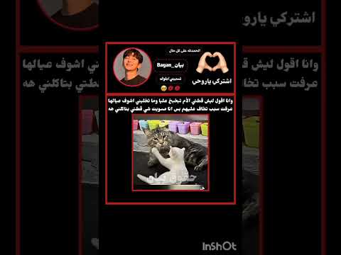 وانا اقول ليش قطتي الأم تبخبخ عليا وما تخليني اشوف عيالها عرفت سبب تخاف عليهم بس انا مسويت شي قطتي