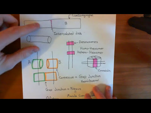 download development of innovative drugs via