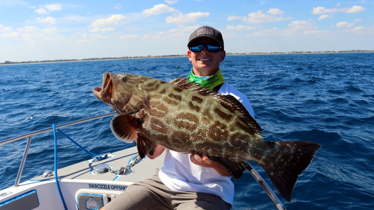 Wreck Fishing Rig for Grouper and Amberjack - Double Threat Charters