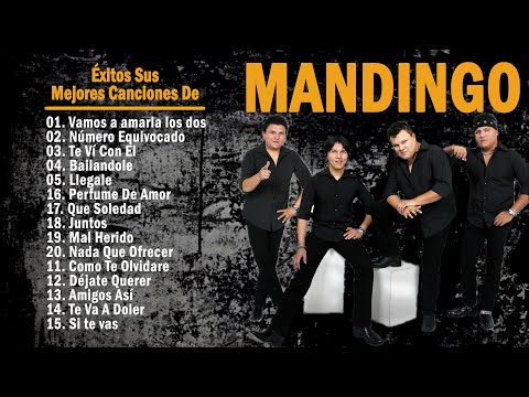 Grupo Mandingo ❤️ Mix Romanticas 2023 ❤️ Exitos Sus Mejores Canciones De Grupo Mandingo ❤️