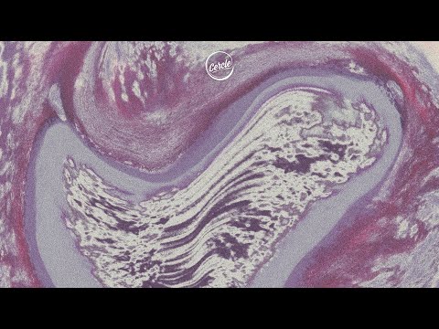 Tinlicker All That I Lost Visualizer 