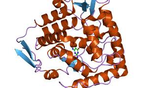 Biopterin-dependent aromatic amino acid hydroxylase | Wikipedia audio article