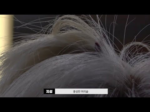 [NCT 제노/지성] 제노형 은근 머리숱 많다는 지성이