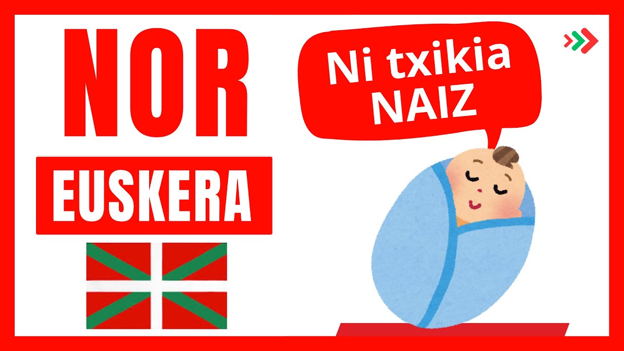 Si aprendes esto, dominarás el 50% del Euskera 🏆