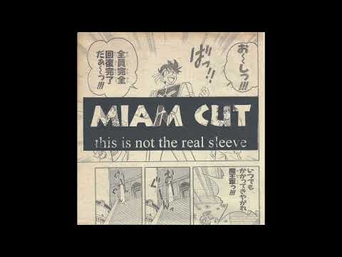 This Is Not The Real Sleeve artwork