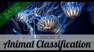 Famous Basic Biology. Lesson 3 - Animal Classification (GCSE Science) Wealth