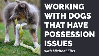 Working with Dogs That Have Possession Issues with Michael Ellis