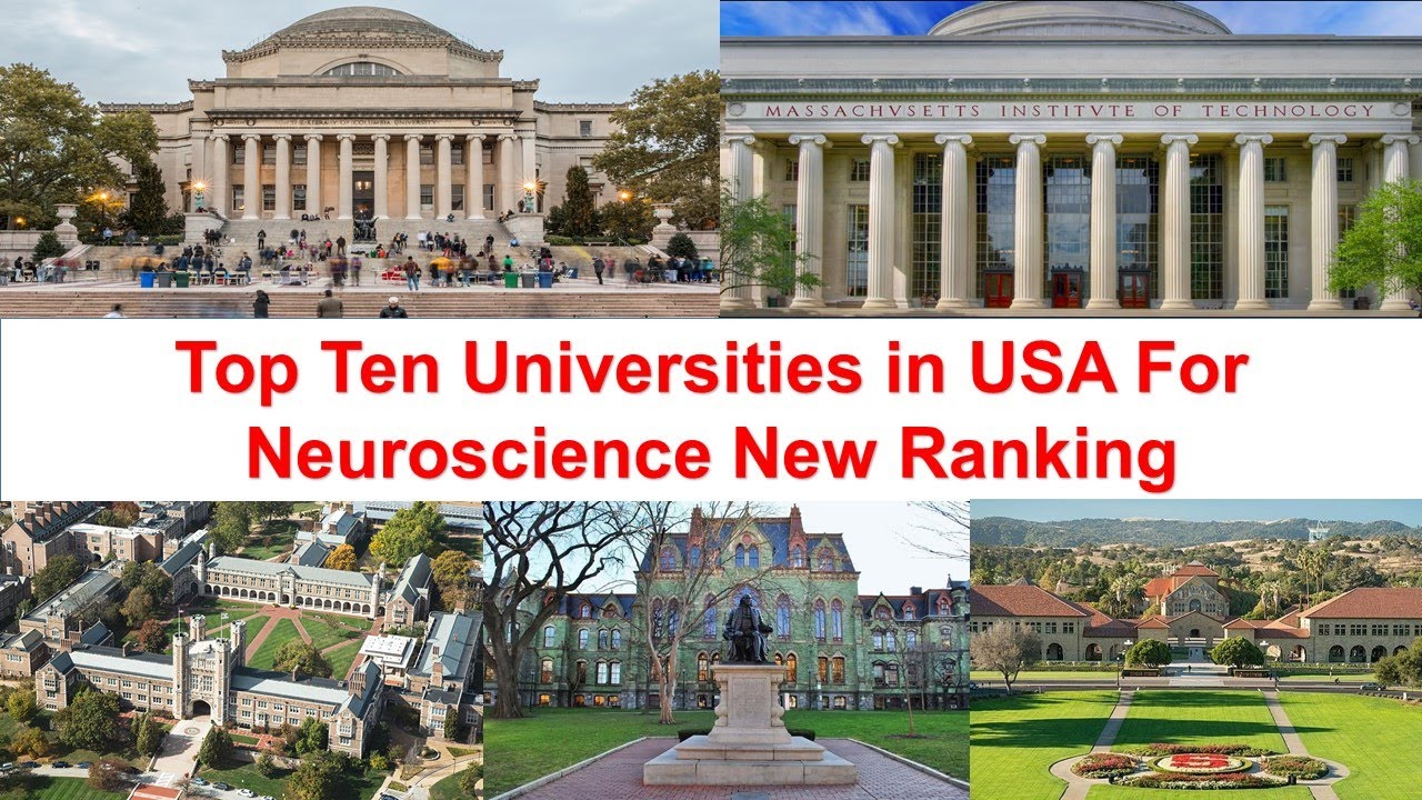 Top Ten Universities in USA For Neuroscience New Ranking YouTube
