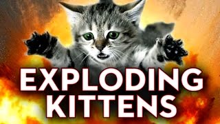 SourcefedPLAYS Exploding Kittens!