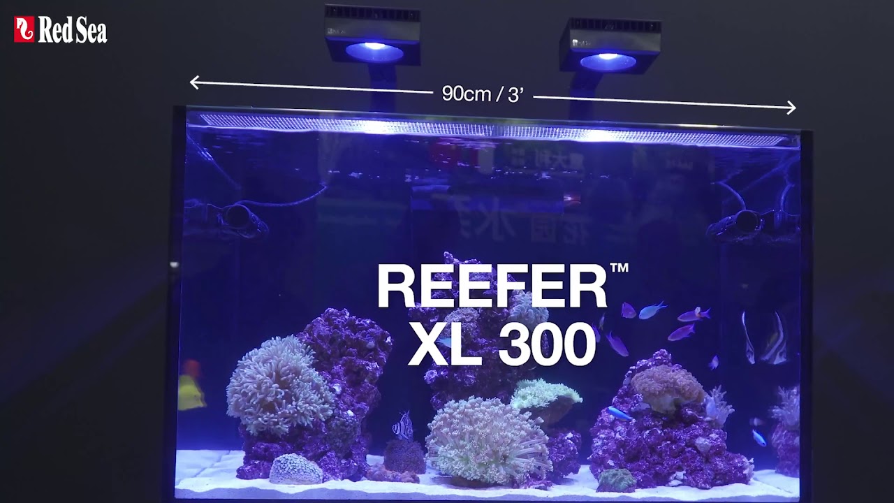 Red Sea Introduces Two New Reefer Series Aquariums At Cips 19 Aquanerd