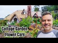 Rose & Dahlia Care