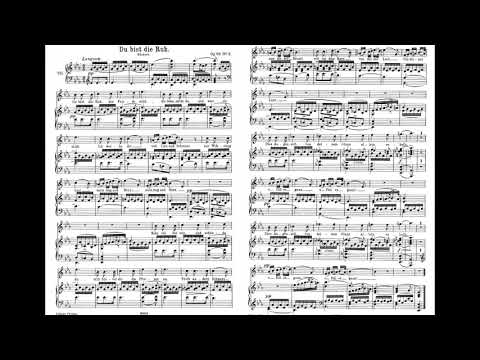 Schubert lied D776 Du bist die Ruh Op.59 No.3 舒伯特 藝術歌曲 你是安寧 Score Sheet 譜 樂譜 谱 Partitura 楽譜付き 【Kero】