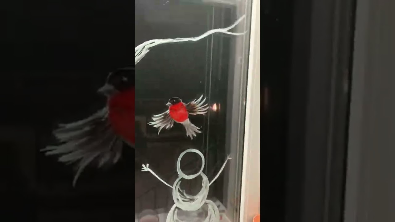 Рисунки на окнах на Новый год