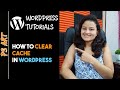 How to Clear Cache in WordPress | Litespeed Cache WordPress | WordPress Tutorial By Leena Jain image