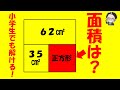 驚くほど一瞬で解ける!?特別な知識は不要!小学生でも楽勝な面積パズル!【中学受験算数】