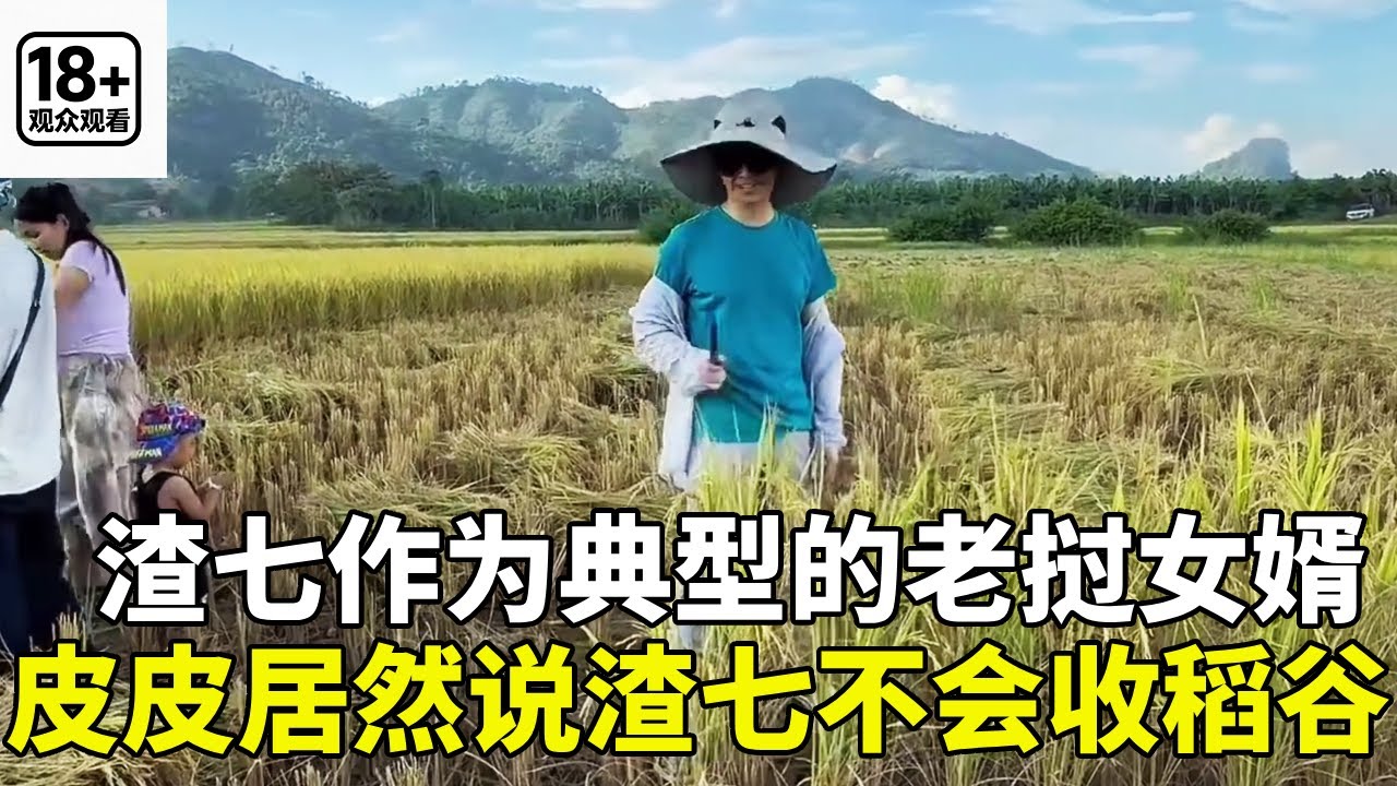 身为标准老挝女婿的渣七，皮皮一句话直接整破防，居然说他不会收稻谷！【老挝七号先生】