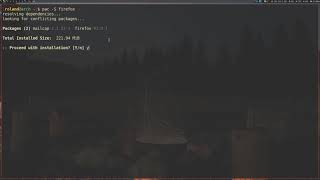 "linux users installing a web browser"