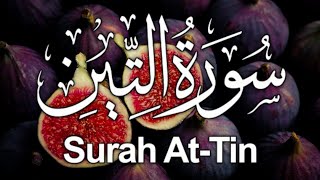 Syrah At-tin by Qari Salman | Al Asr Online Quran Academy