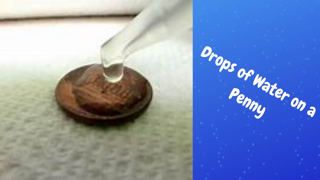 Scientific Method How Many Water Drops Can A Penny Hold Youtube