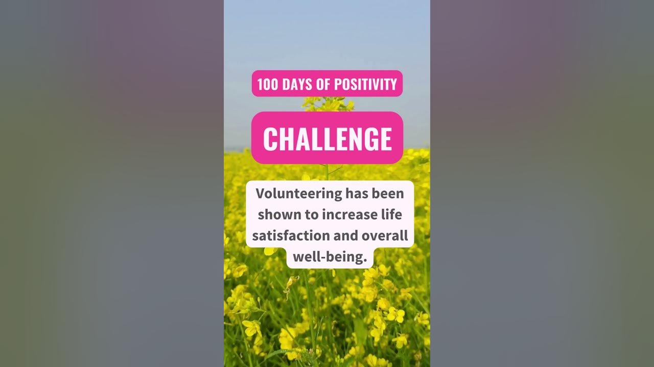 DAY 5 OF 100 DAYS OF POSITIVITY YouTube