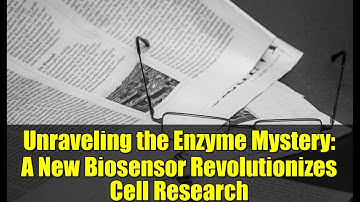 Unraveling the Enzyme Mystery: A New Biosensor Revolutionizes Cell Research