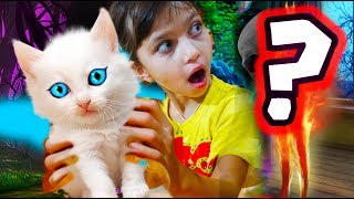 СПАСЕНИЕ КОТЕНКА + КОНКУРС приключение маленького котенка мультик секреты от девочек видео для детей СПАСЕНИЕ КОТЕНКА + КОНКУРС приключение маленького котенка мультик секреты от девочек видео для детей