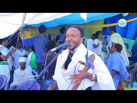 Various Artists - Alefe Halifu | አለፈ ሓሊፉ - Ethiopian Music + Eritrean Music