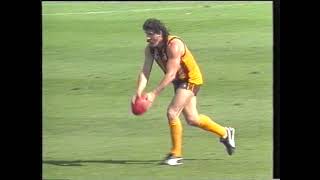 Garry Hocking big hit on Robert DiPierdomenico AFL Melee/Fight