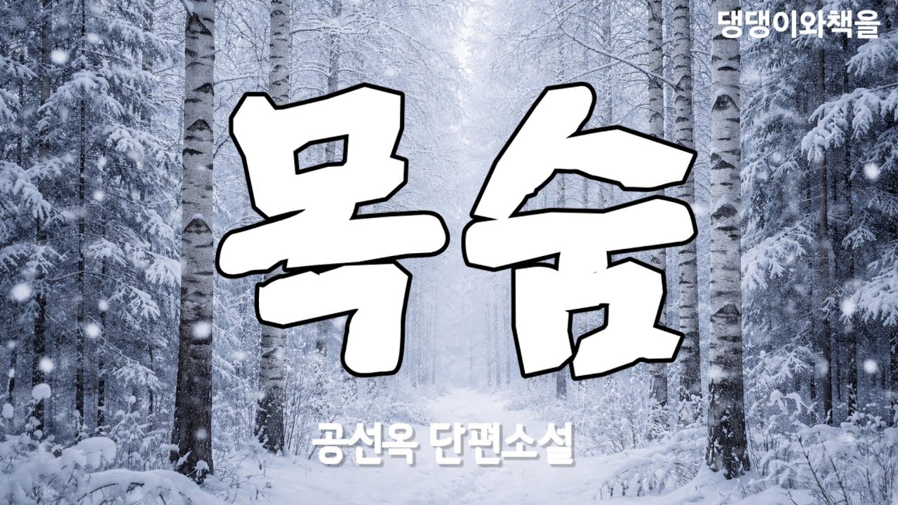 공선옥/혜자는 아랫배를 슬며시 눌러보았다/책읽어주는여자 