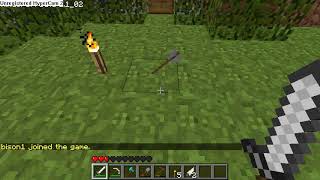 Minecraft: Weird arrow glitch
