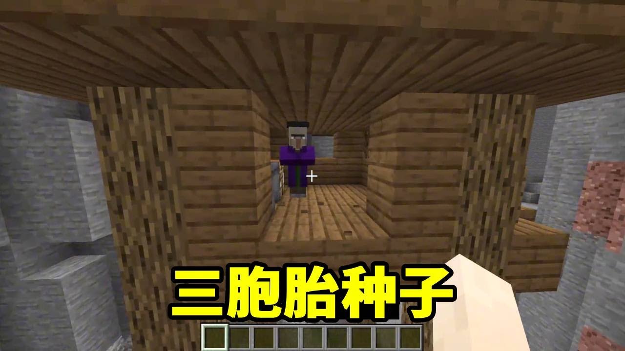 我的世界：MC里那些雷同的种子，竟然有七个一模一样的地形！ 【我叫麦块狐】