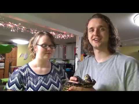 best christmas ever wee sing Ball Python Breeding tips on Christmas