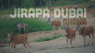 A place You Wouldn't Believe Exist in Ghana -  Safari at JIRAPA DUBAI