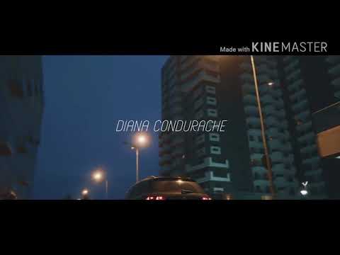 5GANG-SINGURI ACASA| Voce de veverita