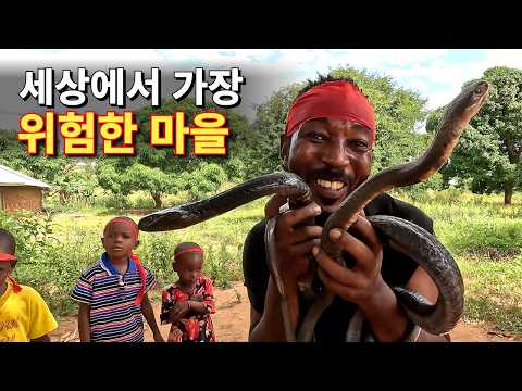 매일이 생존! 맨손으로 코브라를 사냥하는 부족 (지구아 ep1)