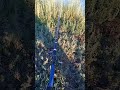 рыбалка пруд