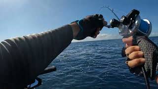 Pesca Sierra Yabucoa Puerto Rico