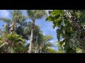 San Diego Botanic Garden Tour 2022