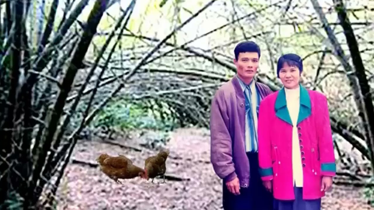 Thơ tuổi về già 