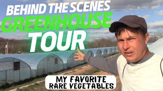 Heirloom Seed Company Greenhouse Tour: My Favorite Rare Vegetables