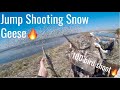 South Dakota Spring Conservation Snow Goose Hunting 2020