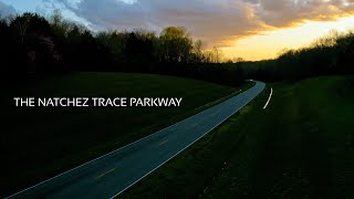 Scenes from the Trace (Natchez Trace Parkway, Tennessee, Lumix G9, Meike 16mm T2.2)