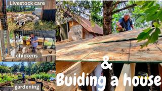 Livestock gardening and building//WIDOW 54 Building Off Grid ALL ALONE