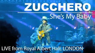 ZUCCHERO Così Celeste, Live from LONDON Royal Albert Hall, April 1,2024. Overdose d'Amore World Tour