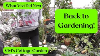 Vivi's Cottage Garden: Back to gardening!