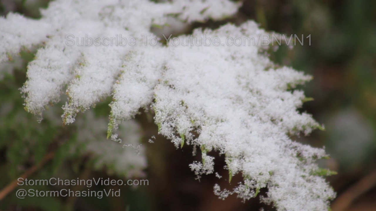 Rice Lake, WI Heavy Snow Falling - 10/14/2018