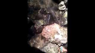 PENCARIAN BAHAN BATU AKIK DI SUNGAI PART 5 PENCARIAN BAHAN BATU AKIK DI SUNGAI PART 5