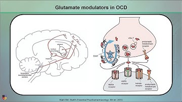 Glutamatergic Interventions in OCD