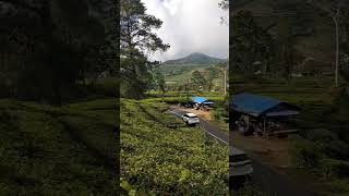 Download Lagu SANCANG CIJULANG #petualangan #travel #nature #naturephotography MP3